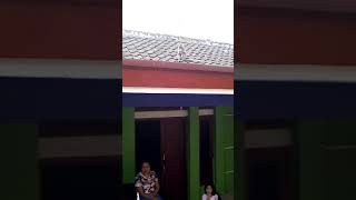 Download lagu Monyet saha nya geus lila kukulamprengan ti imah ka imah mp3