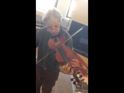Darol Anger violinharp i Ricard Vallina 5string violin