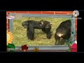 Ameizinwel Chimpancés
