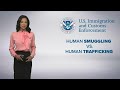 Human Smuggling Vs Human Trafficking What S The Difference