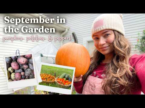 Harvest Pumpkins, Potatoes, & Peppers with my wife & I 🍁 September 2024 Garden Tour (Zone 5 Vermont)