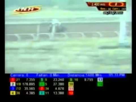 SANTA RITA 8 CARRERA, JUEVES 01 DE OCTUBRE DEL 2015