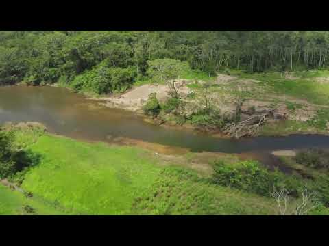 img-video