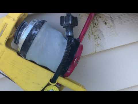 Roof Top Carpenter Bee Treatment in Belmar, NJ