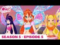 Winx Club Season 5 Episode 5 