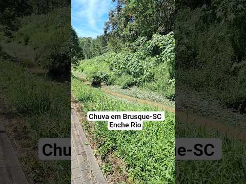 Chuva em Brusque #chuva #noticias #brusque #brusquesc #santacatarina #dicas #shortviral #shorts