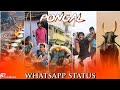 Pongal Whatsapp Status 2021 Whatsapp Status Happy Pongal Pongal Status