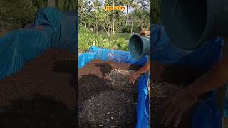 Download lagu Processing goat manure into fertilizer mp3