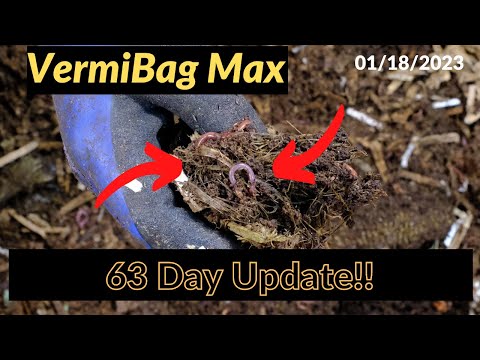 Vermibag Max -  63 Days Later!! 01/18/2023
