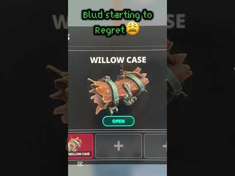 Opening a WILLOW CASE in 2025💀crazy end🥵#mvsd#roblox#fyp#rip#imcooked #mm2