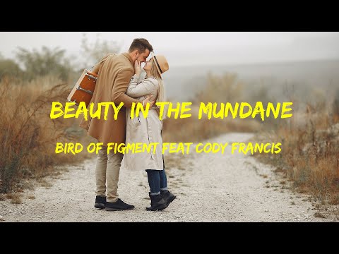 Bird Of Figment feat  Cody Francis - Beauty In The Mundane Lyrics
