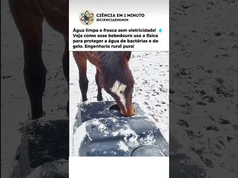 Engenharia Rural: O Bebedouro 