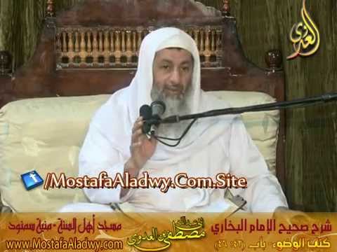  البخاري (41) ” وضوء الرجل مع امرأته ” كتاب الوضوء باب (42-46) 