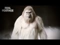 New Bigfoot Videos YOU Haven T Seen EXCLUSIVE FOOTAGE