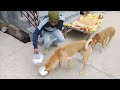 Bezubaan Helping Keep Support Subscribe Youtubeshorts Bejuban Ki Seva Trending Video Bezubaan