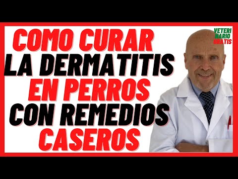 🟣 How to cure and treat Atopic or Allergic Dermatitis in Dogs 🟣 with Natural Home Remedies