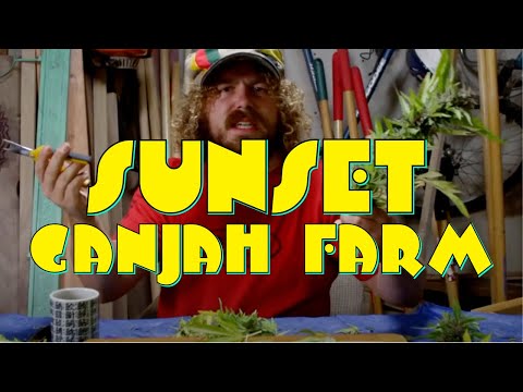 State of Jefferson | Sunset on The Ganja Farm OFFICIAL MUSIC VIDEO
