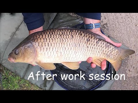 Carp fishing the margin