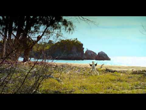 Island of Lemurs: Madagascar IMAX® TV Spot #2