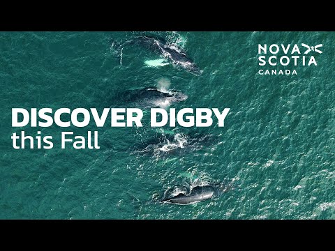 Take a trip to Digby this fall