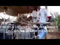 Mozy B Chimphepo Live Performance