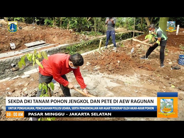 Sekda DKI Tanam Pohon Jengkol Dan Pete Di AEW Ragunan