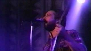 Mike Watt with Dave Grohl and Eddie Vedder LIVE 5-95 Canadian TV * Walking The Cow