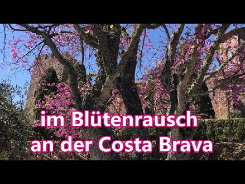 Palamós an der Costa Brava