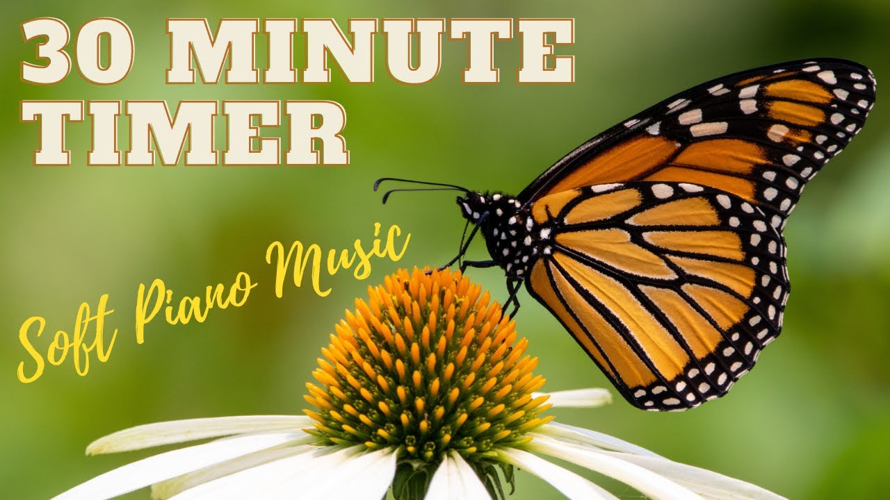 30-Minute Soft Piano Music Butterfly Timer: Stay Focused and Productive During Your Precious Moments