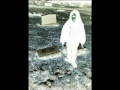 Crystal Castles ll   Birds Reversed