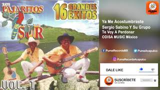 Ya Me Acostumbraste - Los Pajaritos Del Sur - 16 Grandes Éxitos