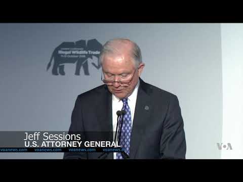 US Pledges $90 Million as World Leaders Tackle Illegal Wildlife Trade