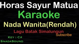 Download lagu HORAS SAYUR MATUA-Lagu Batak Simalungun |KARAOKE NADA WANITA-Rendah​⁠ -Female-Cewek-Perempuan@ucokku mp3