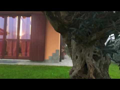 Fara Olivana con Sola