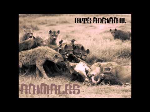 VITE ADRIÁN W. / ANIMALES