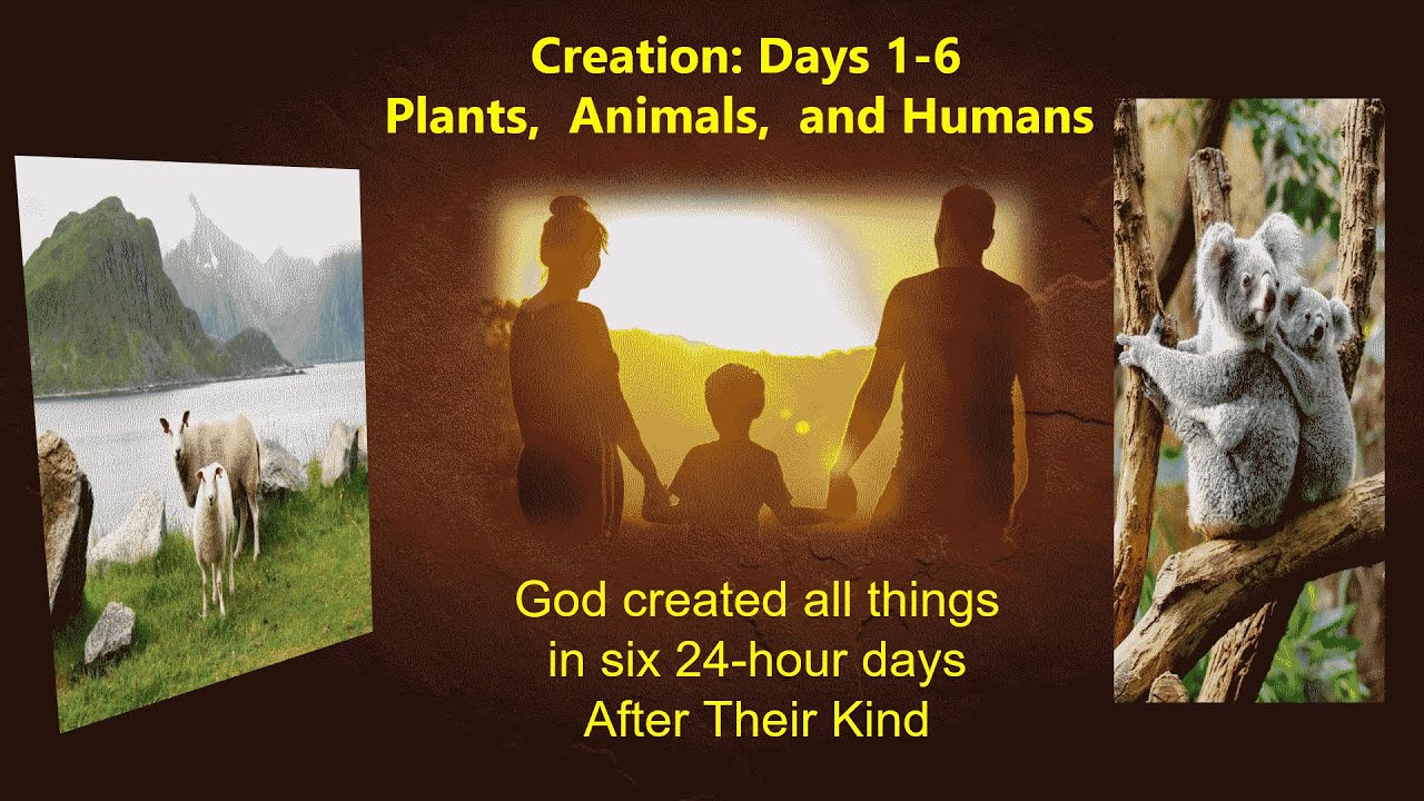 The Days of Creation After Their Kind