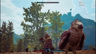 【シタデル】プランターで一括種植え＆収穫