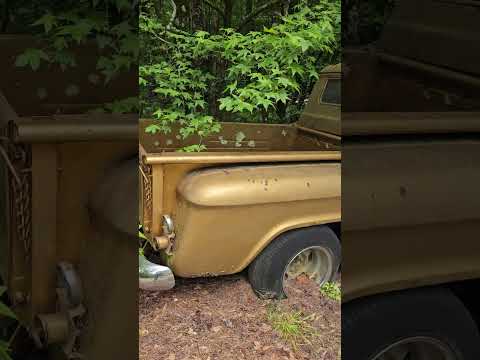 1955 Chevrolet pickup truck classic antique #1955#chevy#pickup#truck#classic#antique
