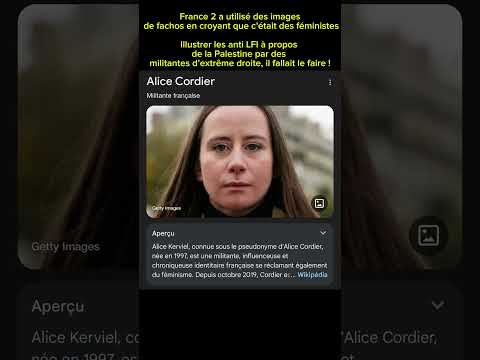 France 2 qui illustre les anti FI à propos de la Palestine par des fachos , fallait le faire !