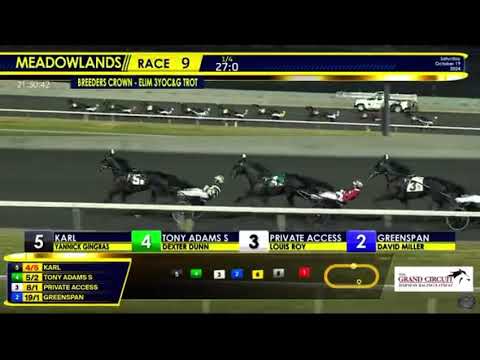 Breeders Crown Elimination 3yo C&G 2024 - Daiquiri Hanover & Åke Svanstedt 1.51,3 1609m