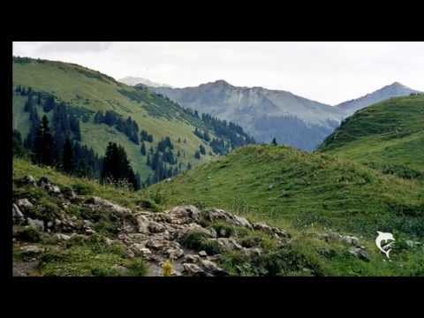 Bergtour - Großer Widderstein (2.533 m) - Allgäuer Alpen / Österreich - 2005