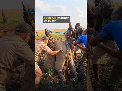 Thank you for saving her ❤️