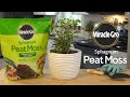 how to grow stronger roots in plants using miracle gro® sphagnum peat moss