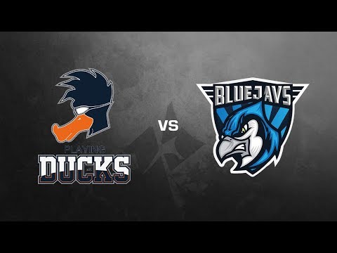 Playing Ducks vs. BLUEJAYS - 99Damage Liga Season 10 (Cache | Map 1)