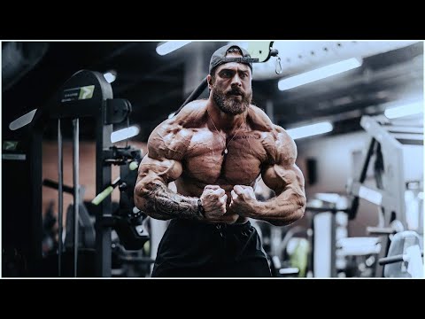 GYM HARDSTYLE - Stars Collide CHRIS BUMSTEAD ft.Urs Kalecinski