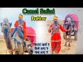 Camel Safari || Pushkar ,Rajasthan || पुस्कर मेला ❤️