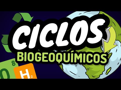BIOGEOCHEMICAL CYCLES ⚡ UNAM-IPN GUIDE / summarized and easy in 2 minutes