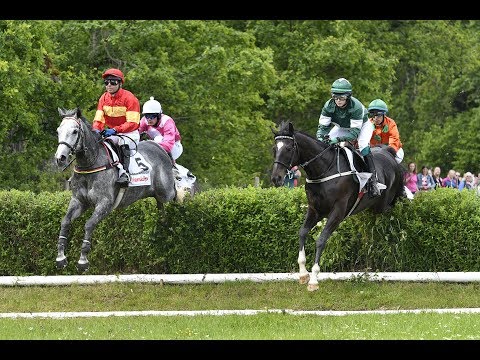 Grand National-dagen på Strömsholm 2017
