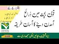 How To Show Source Of Income In National Savings Qaumi Bachat Mein Zarai Aamdan Kese Zahir Karen