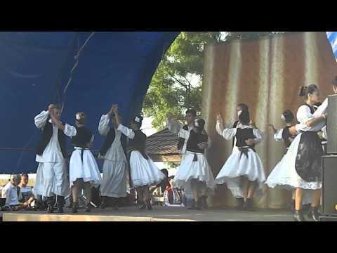 Mostenitorii Sintea Mare